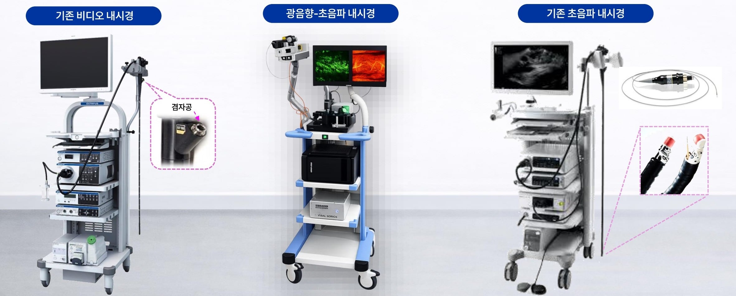 비달소닉