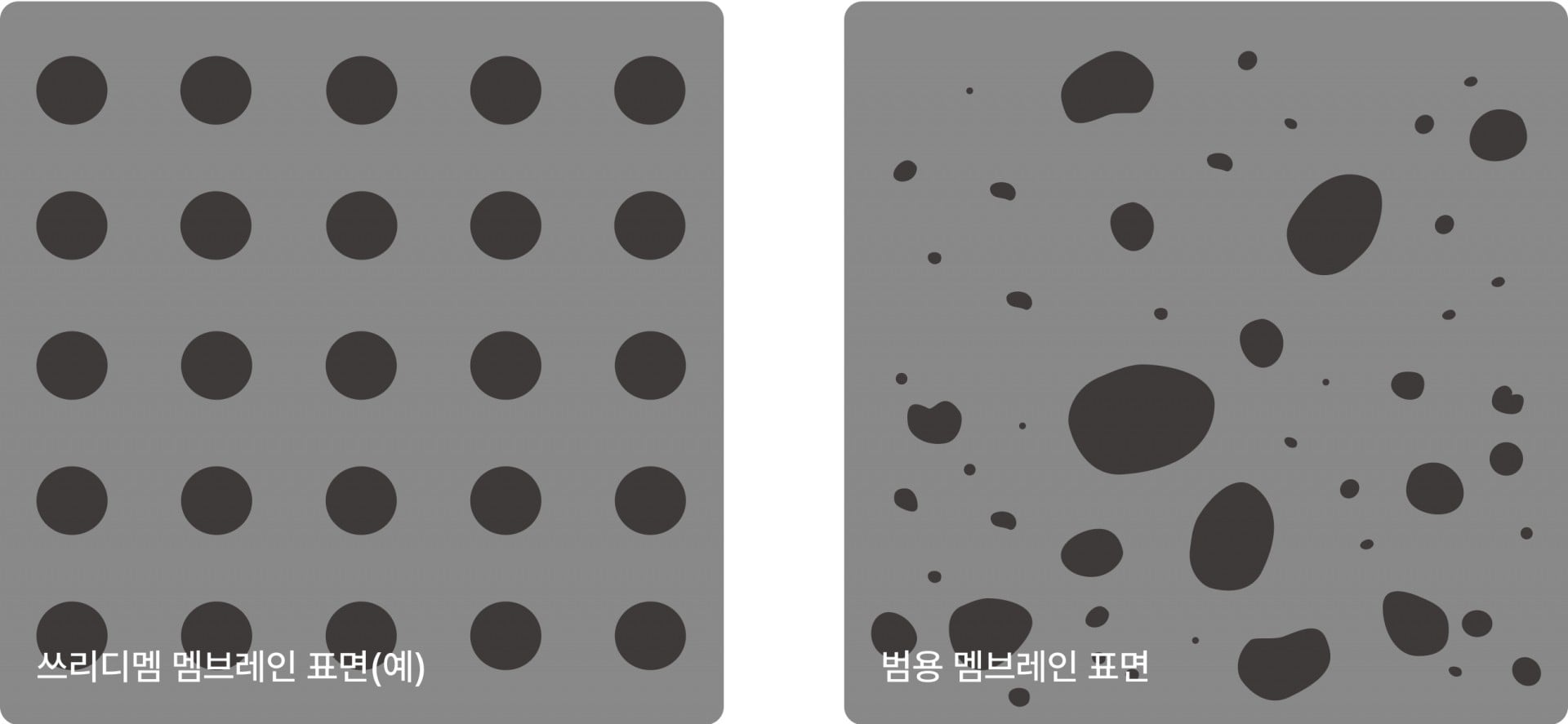 쓰리디멤